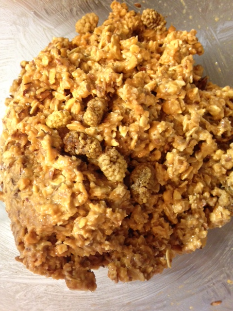 Homemade Mulberry Snack Bars Mixture from Healthy, Fit & Barefoot!