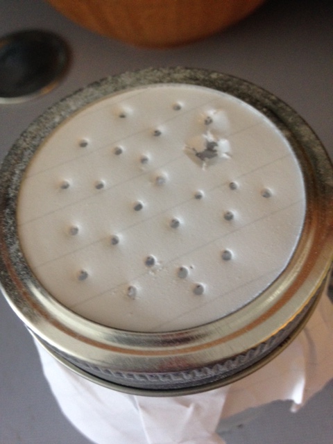 Homemade Lemongrass Carpet Freshener from Healthy, Fit & Barefoot!