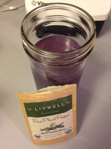 Blueberry Vanilla Protein Shake using LivWell Vanilla Bean Protein