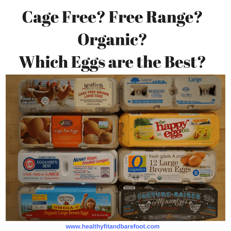 Cage Free- Free Range- Organic- Which Eggs are the Best? | Healthy, Fit & Barefoot!